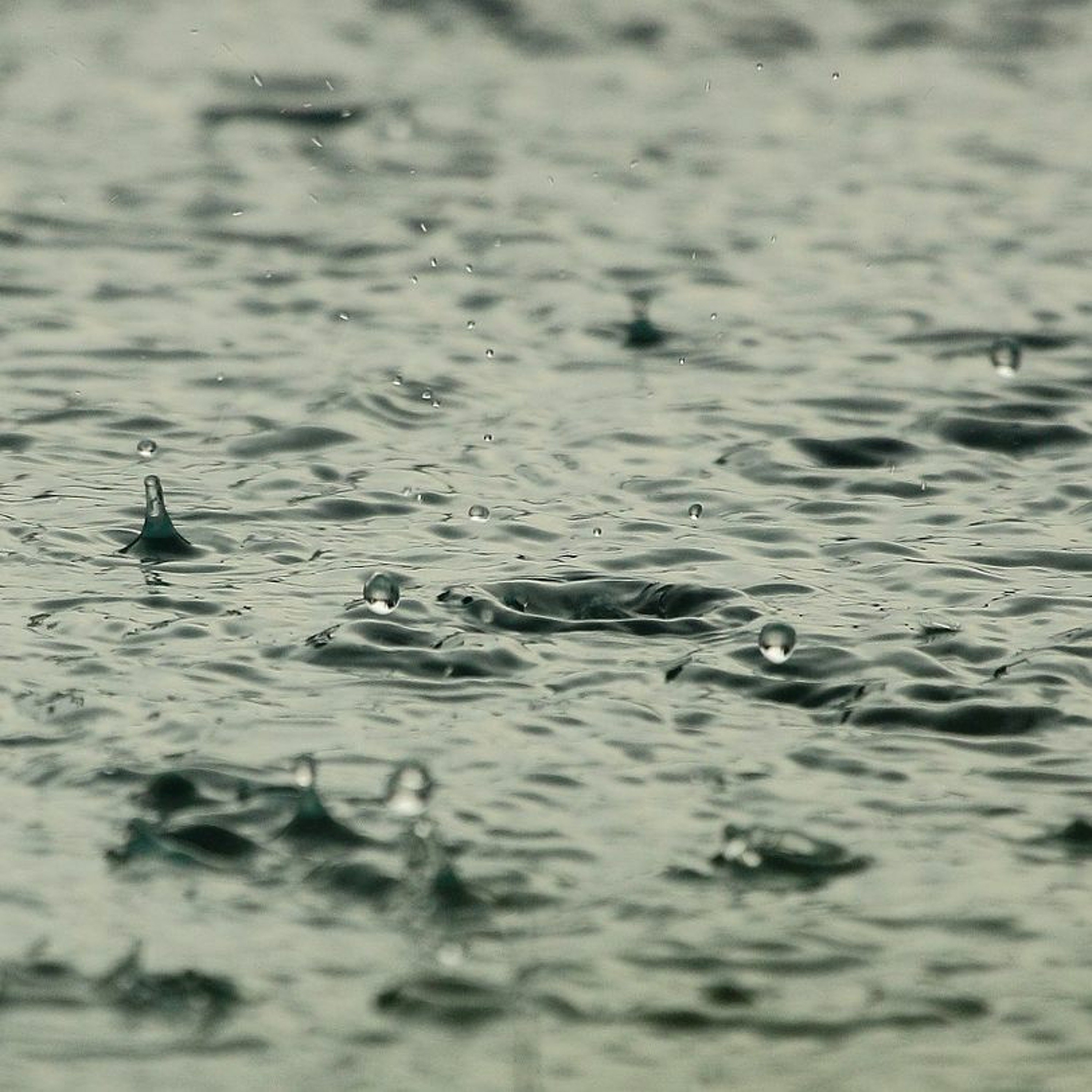 Light Summer Rain