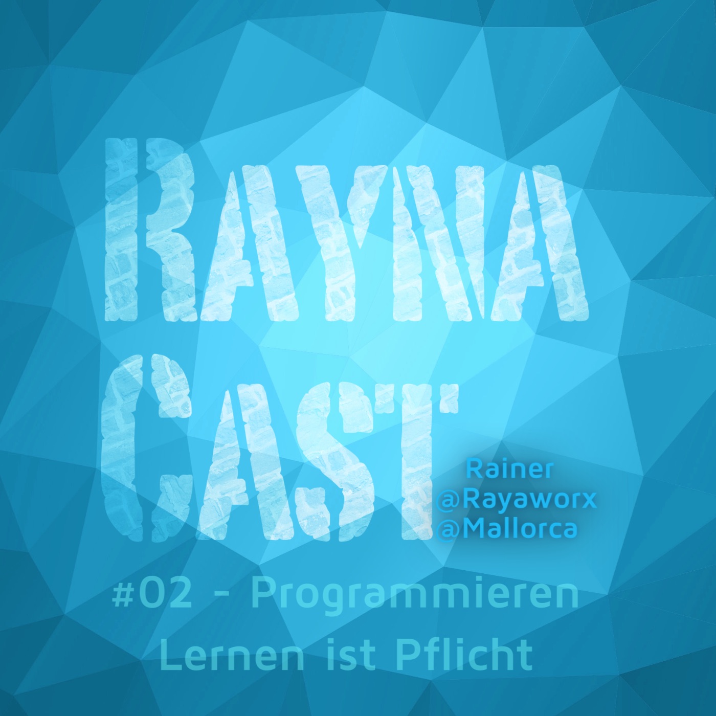 02 - RaynaCast - Programmieren lernen ist Pflicht