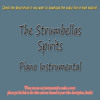 The Strumbellas Spirits Acoustic Instrumental Mp3