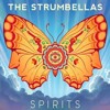 The Strumbellas Spirits Cover By Pieroandlaura Mp3