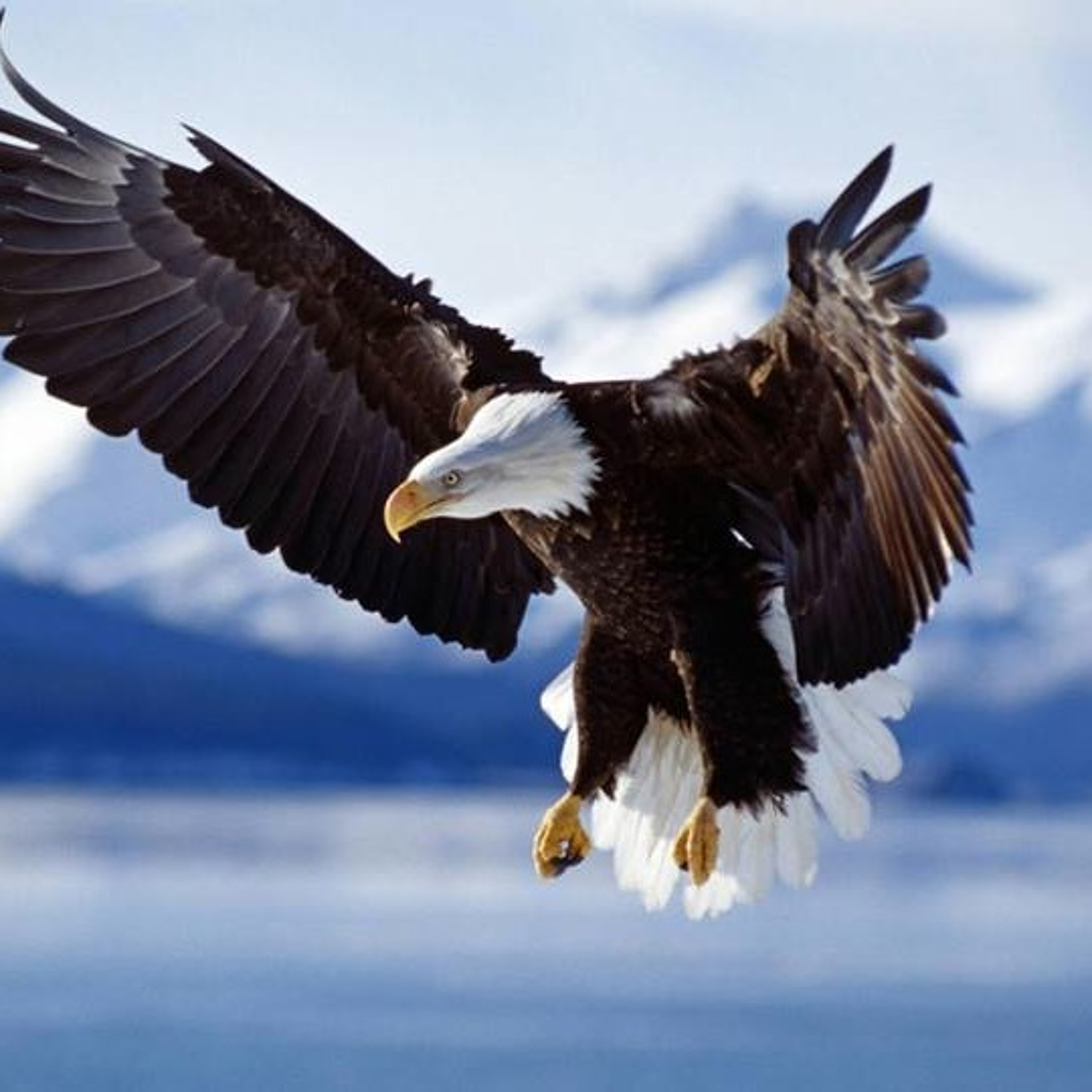 Eagle\'s Nest