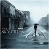 Pacman Ft The Exper T And Wild Christopher Sky Cries Soul Muzick Remix Mp3