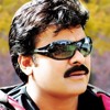 Jivvumani Kondagali Video Song ¦ Lankeshwarudu Telugu Movie Songs ¦ Chiranjeevi ¦ Radha ¦ Mohan Babu