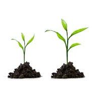 Never Stop Growing