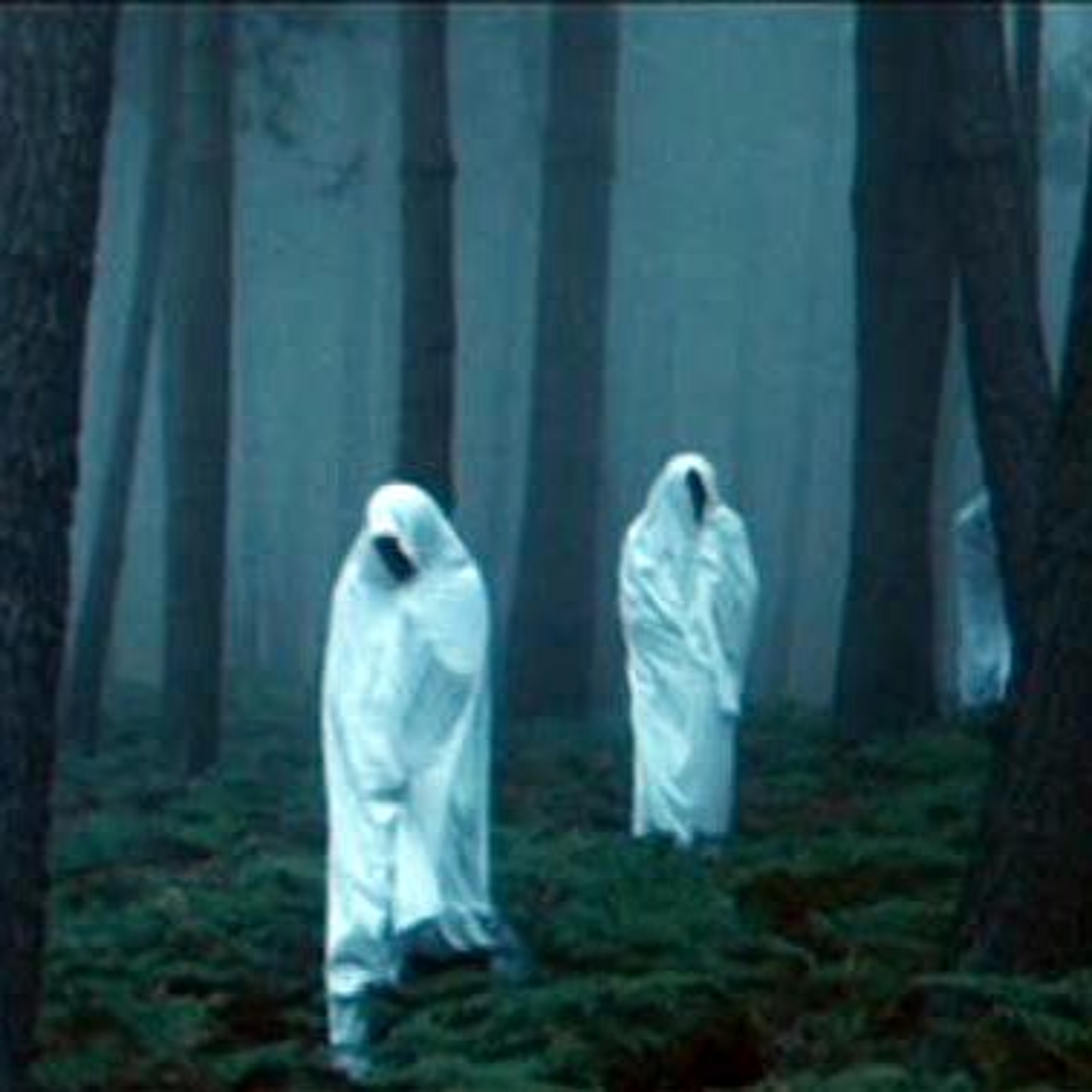 Won\'t Stay Dead