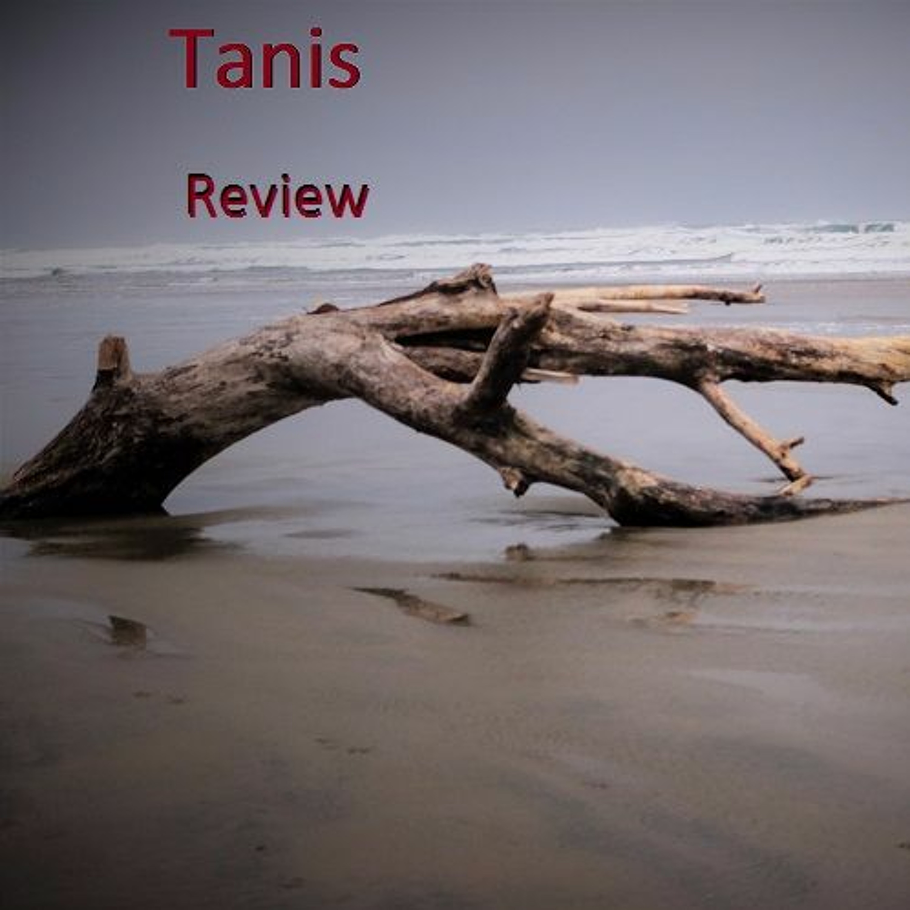 Tanis Review Season 2 Episode 12