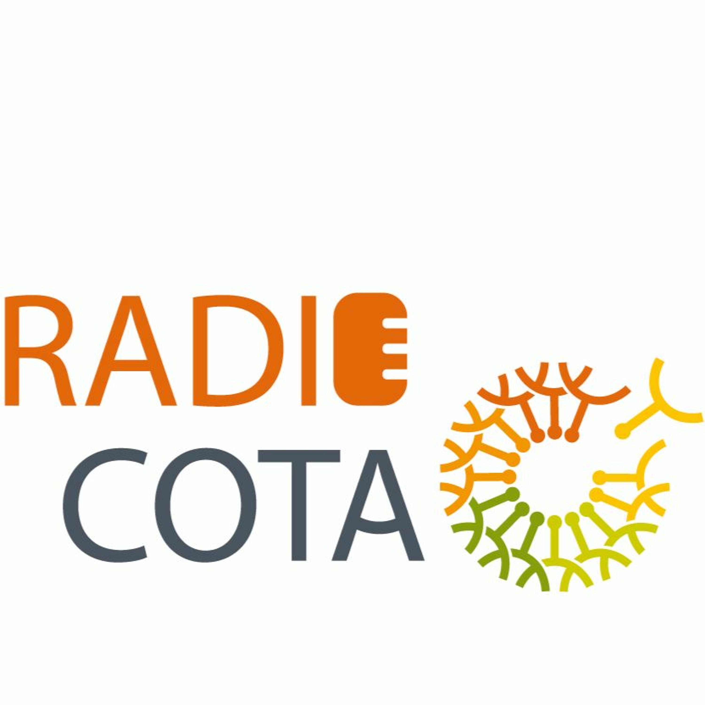 Radio COTA