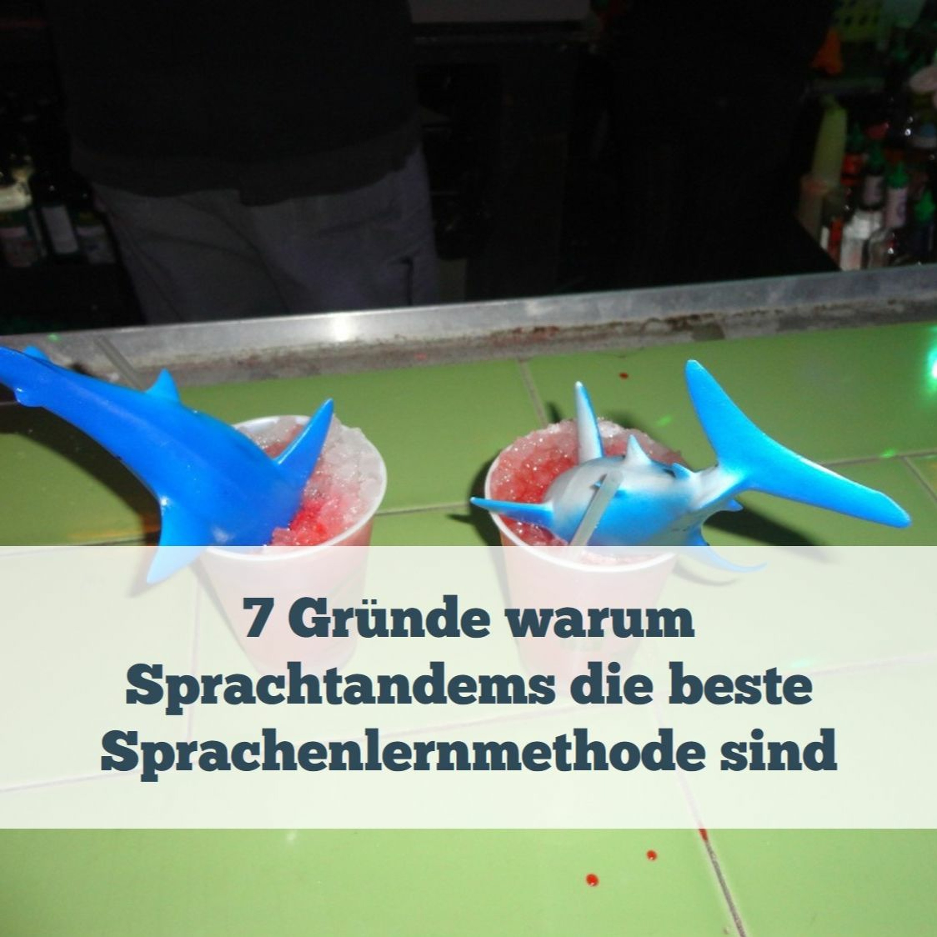 Sprachheld - Lerne Sprachen blitzschnell