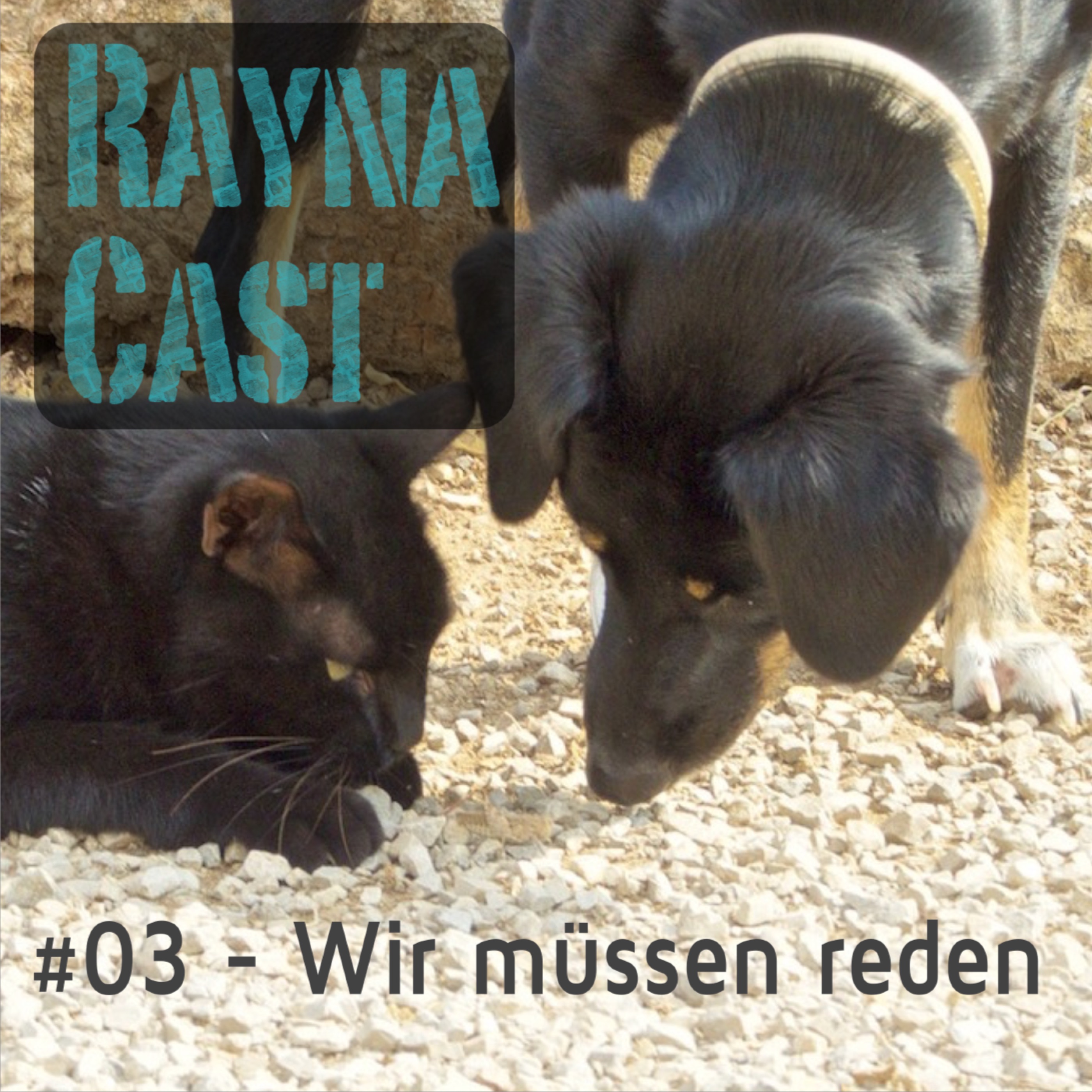 03 - RaynaCast - Wir müssen reden