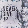Teminite Never Give Up Mp3