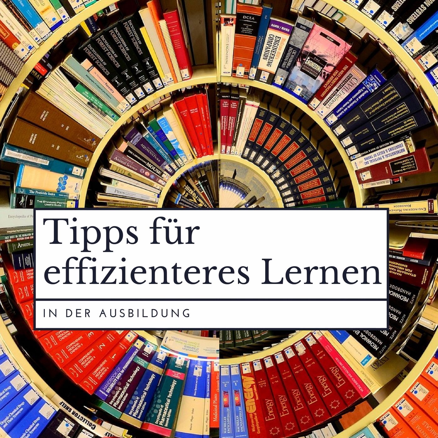 Lerntechniken: leichter Lernen