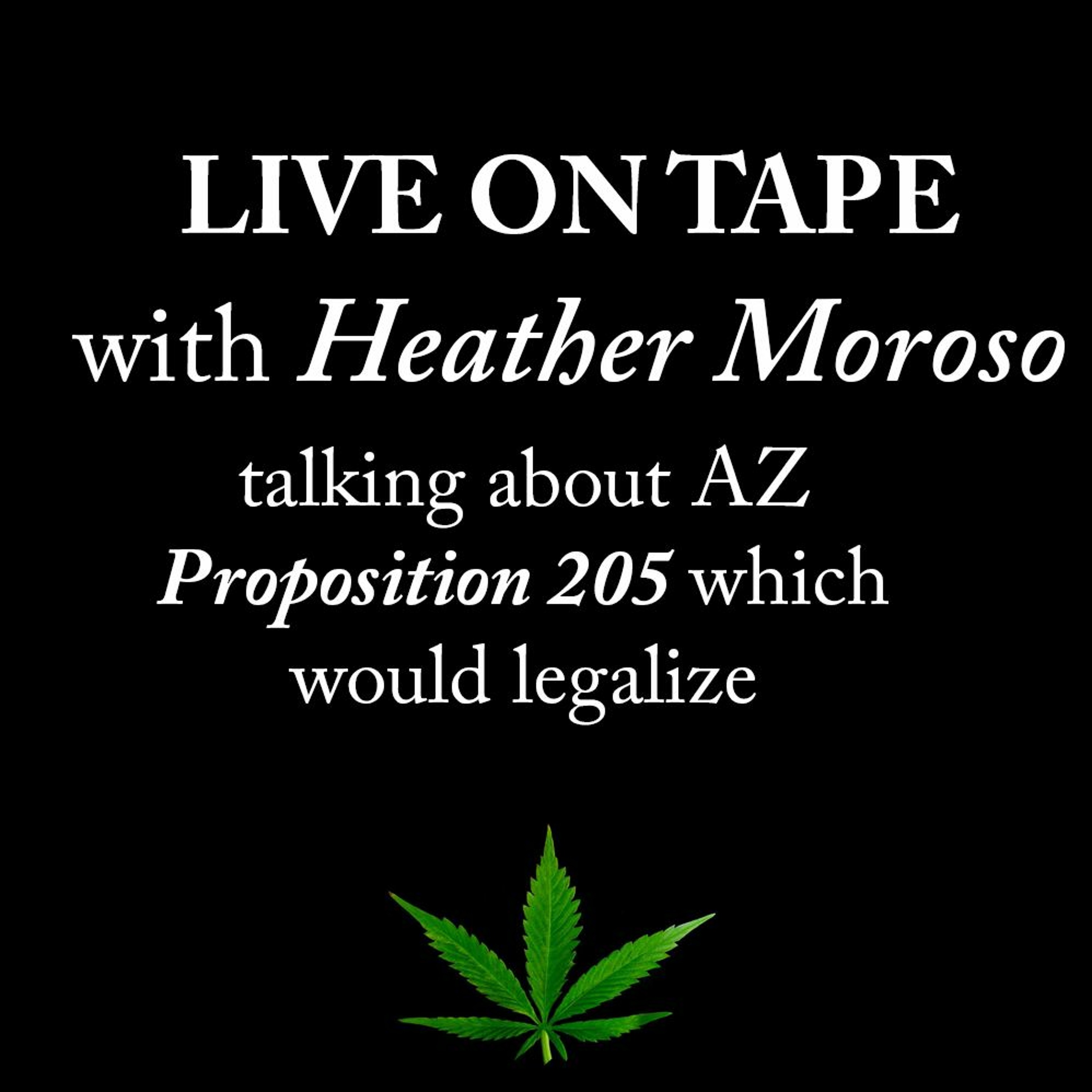 Conversation with Heather Moroso about AZ Proposition 205!