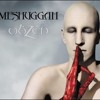 Meshuggah - Bleed (vocal cover)