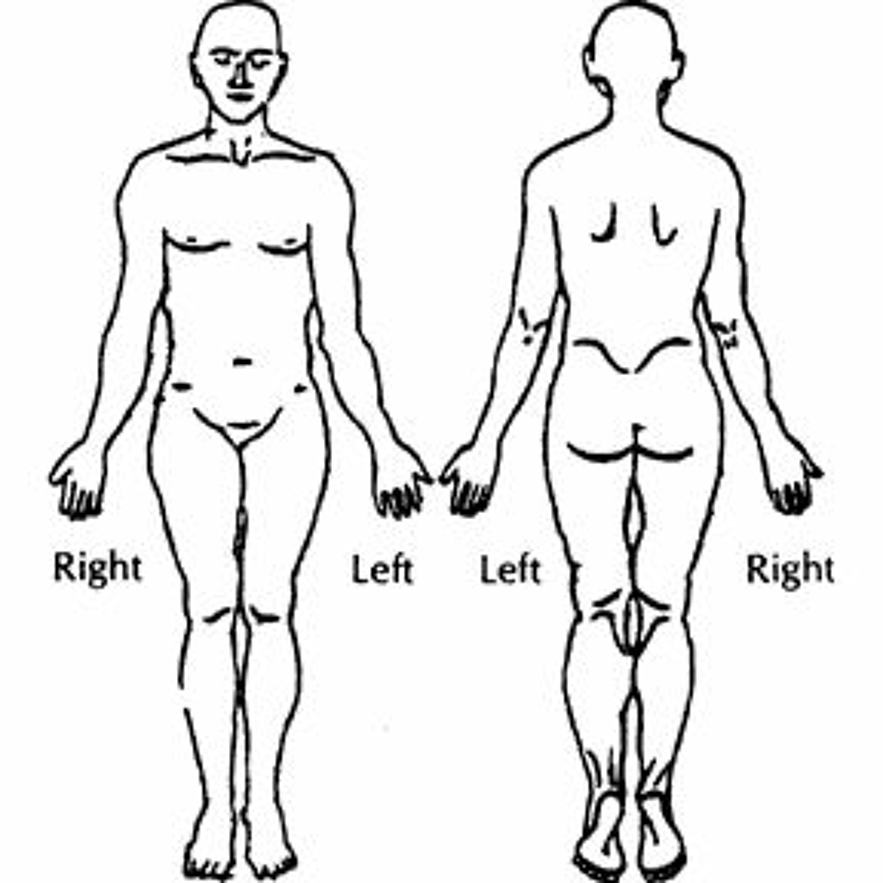 End Chronic Pain Now