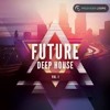 Nina Simone Feeling Good Avicii Remix Mp3