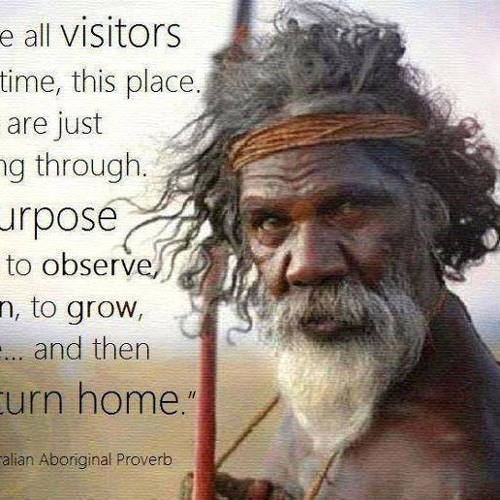 australian bush essays australian bush essays