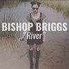 Bishop Briggs River Cover By Melina Mp3