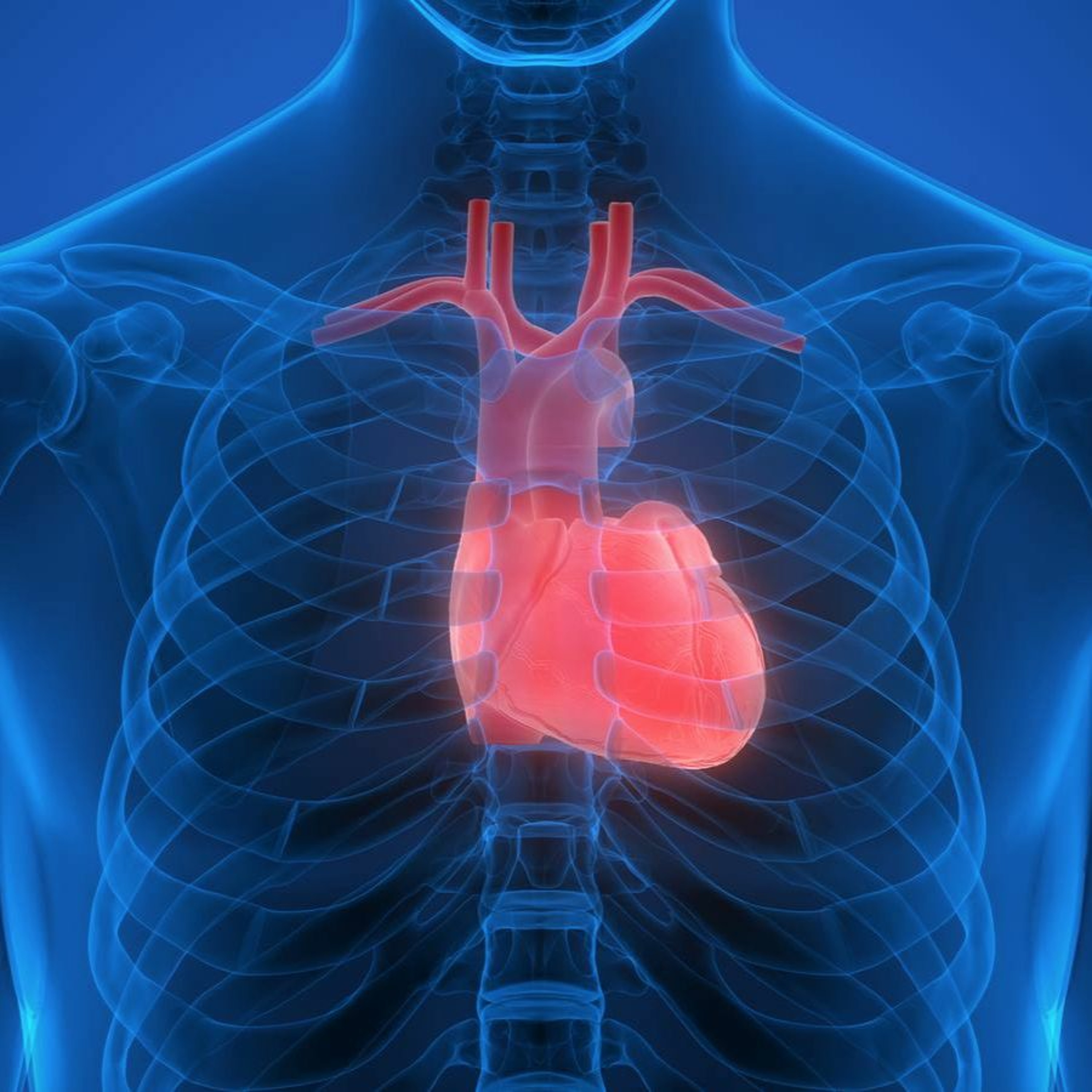 Heart Health - Radio Show Archive