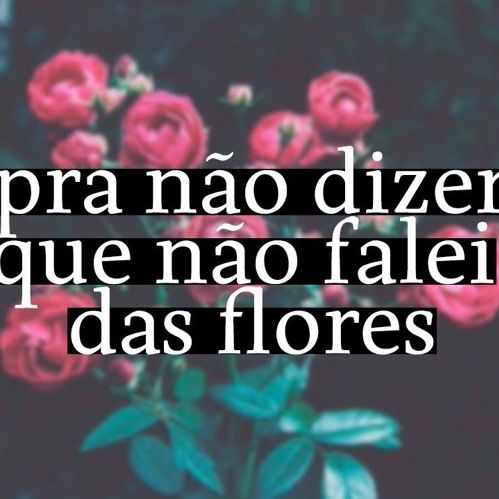 Pra não dizer que não falei das flores