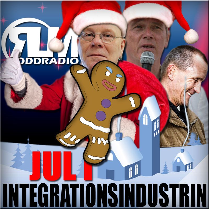 RLM - Jul i integrationsindustrin RLM - Jul i integrationsindustrin