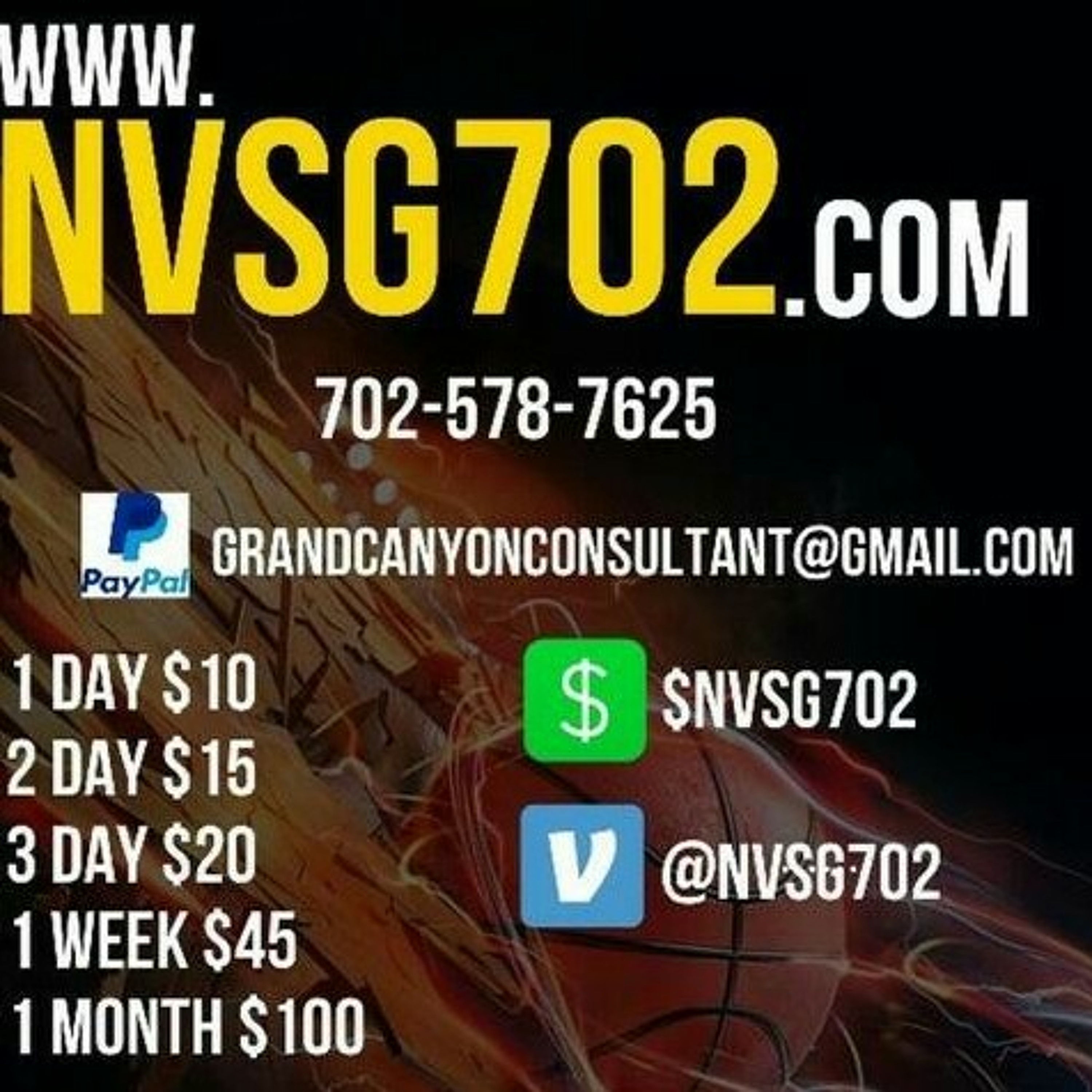 NVSG 702