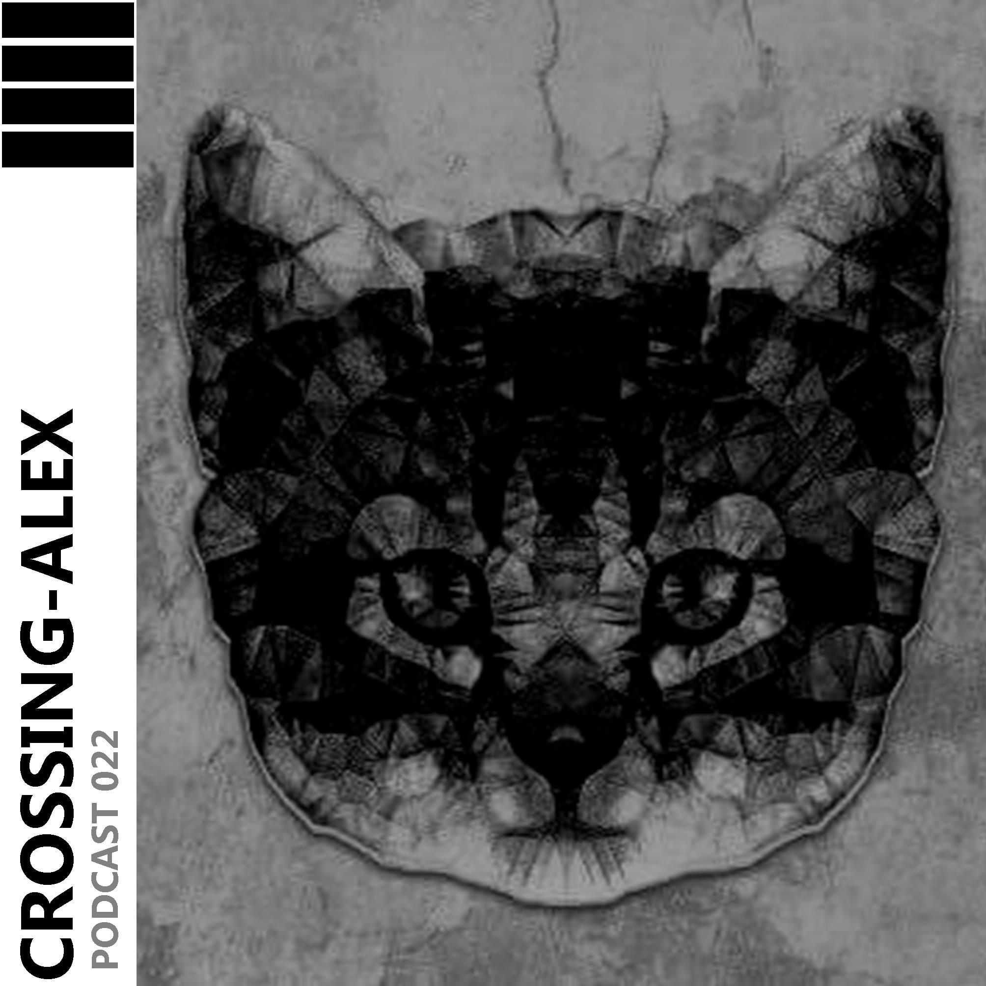 CROSSING - ALEX PODCAST 022 - Katzler
