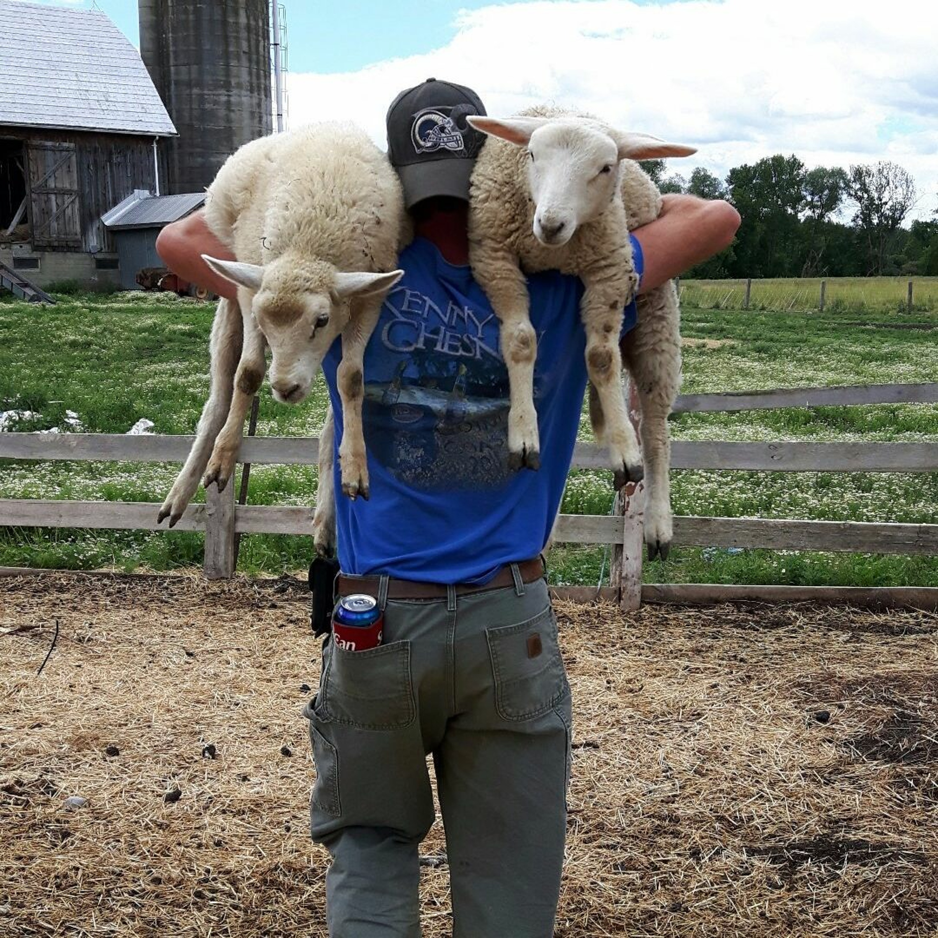 Ontario AgCast
