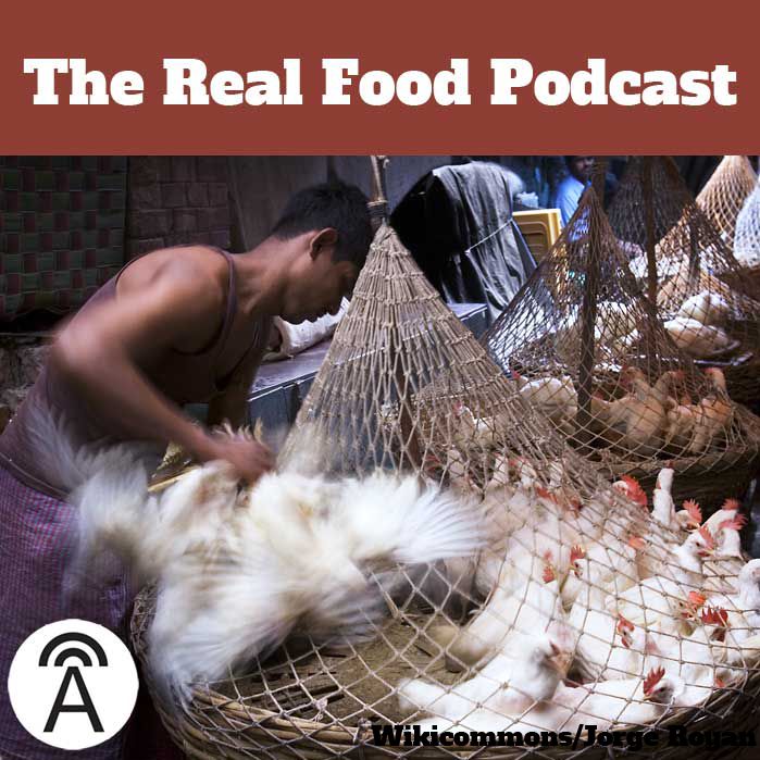 #44: Is Chicken Just Non-Veg Paneer?