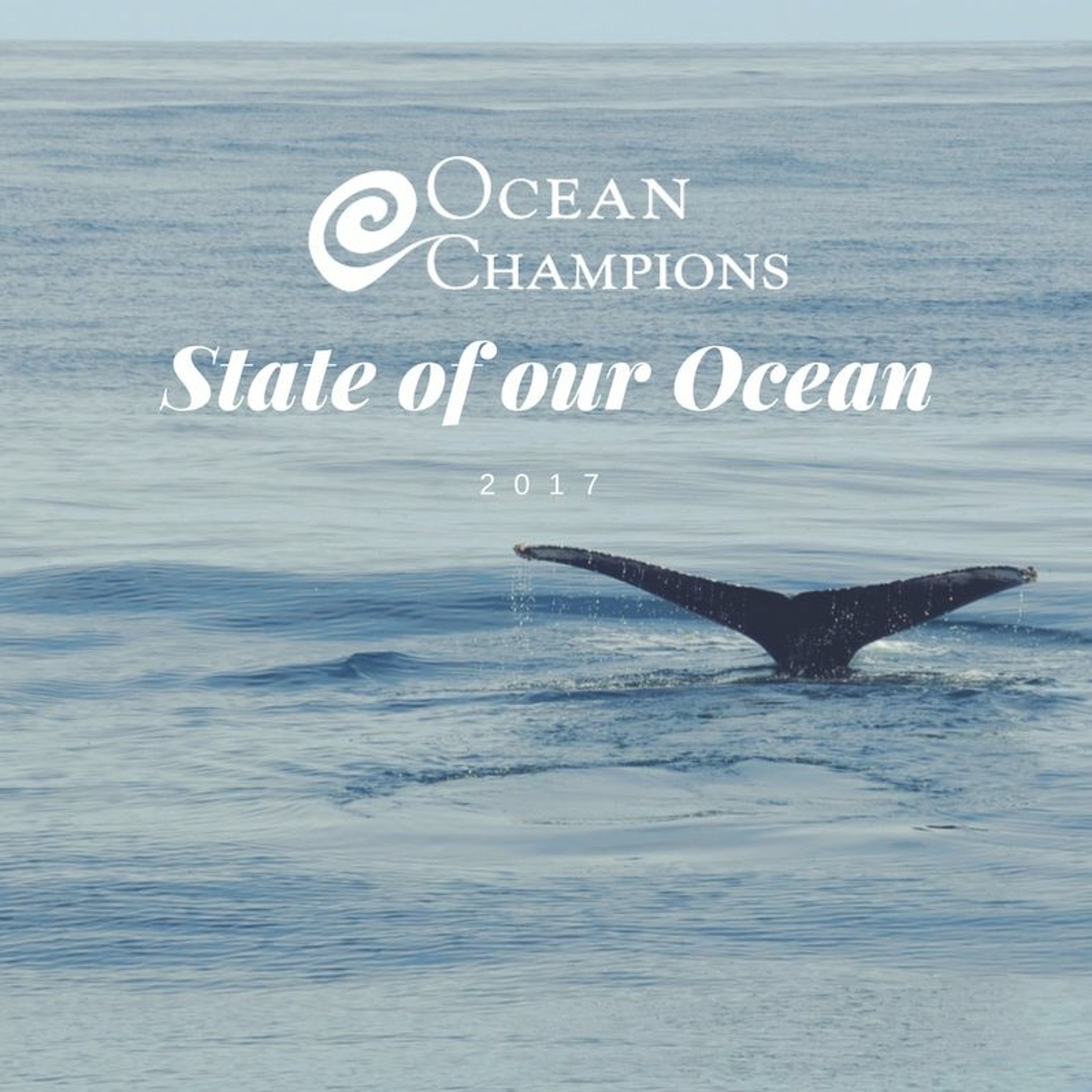 2017 State of our Ocean