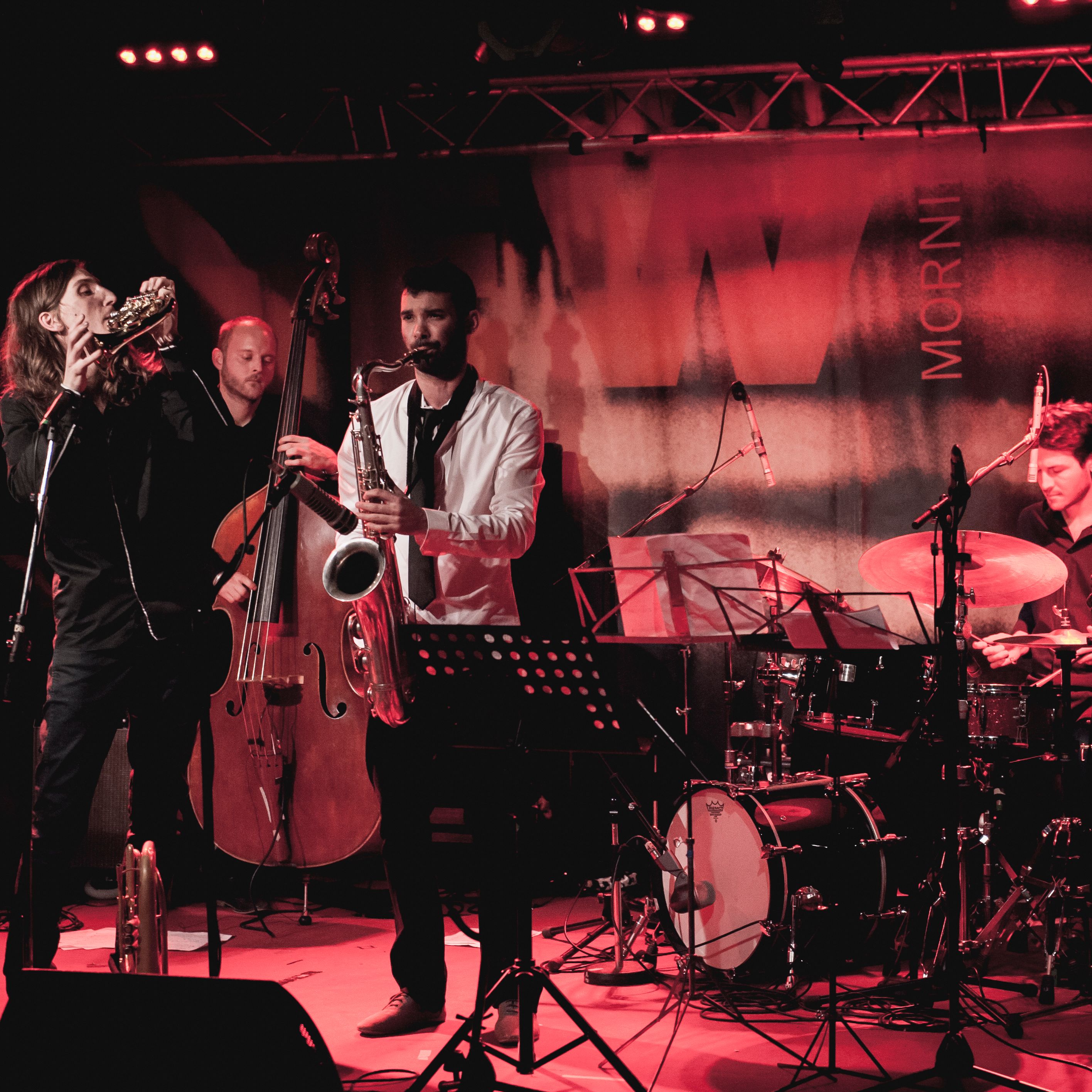 Quinze concerts à dos d'anes