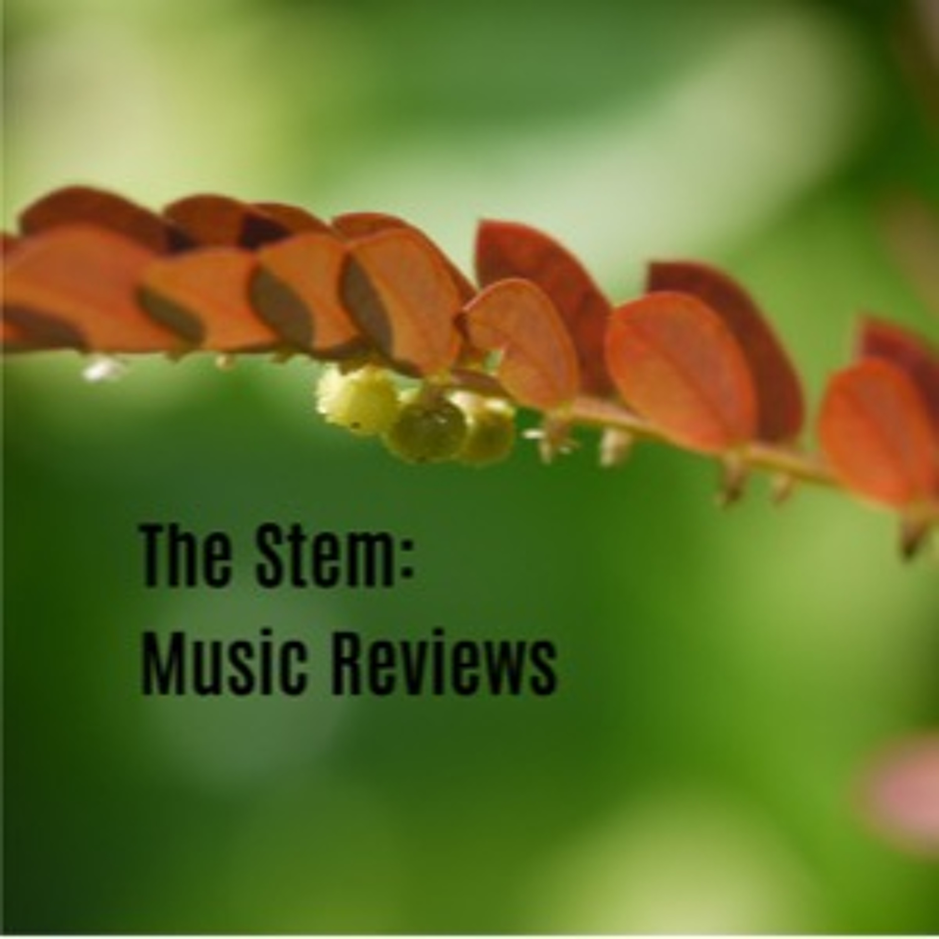 The Stem Podcast