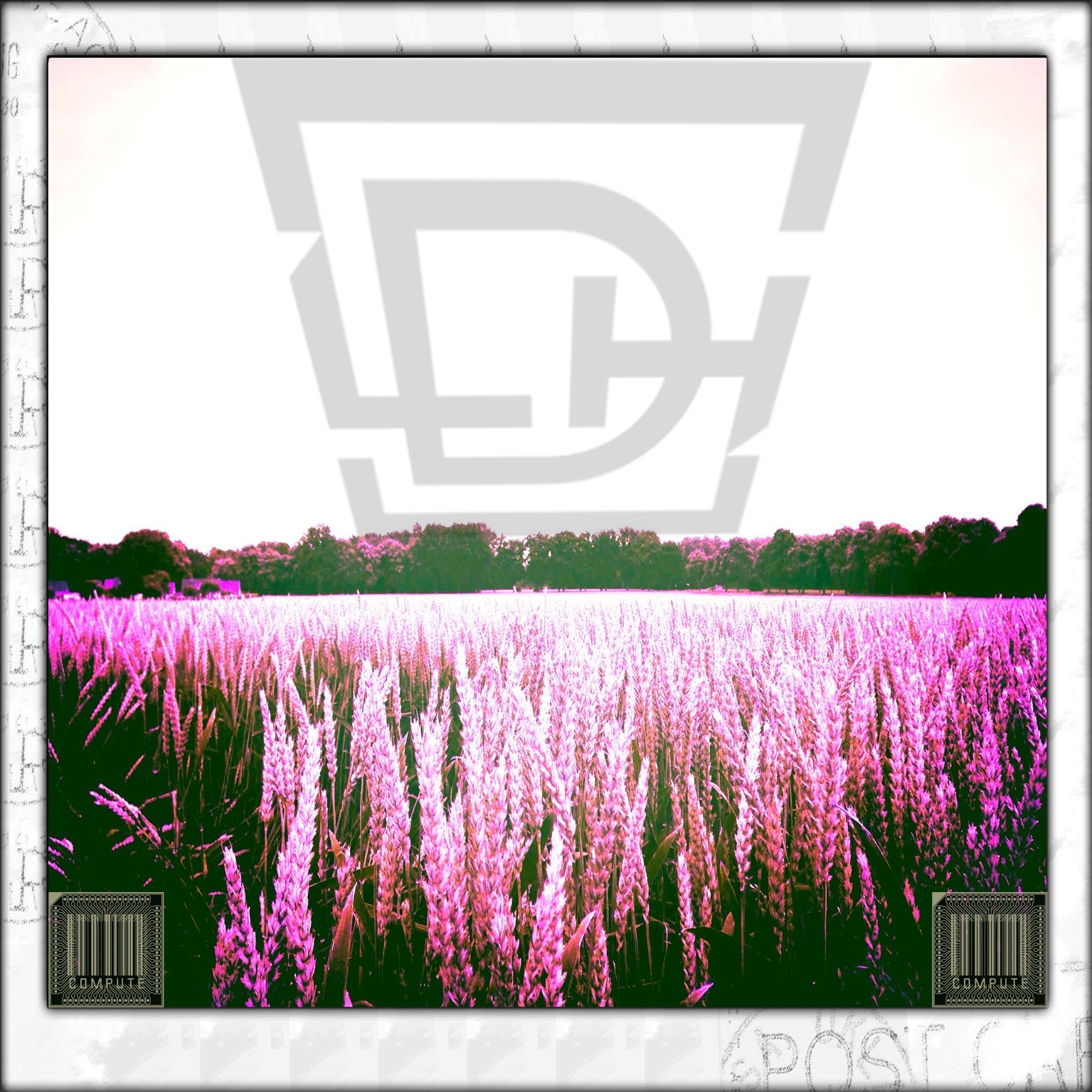 LDH Podcast #3 Aaron Brockmann