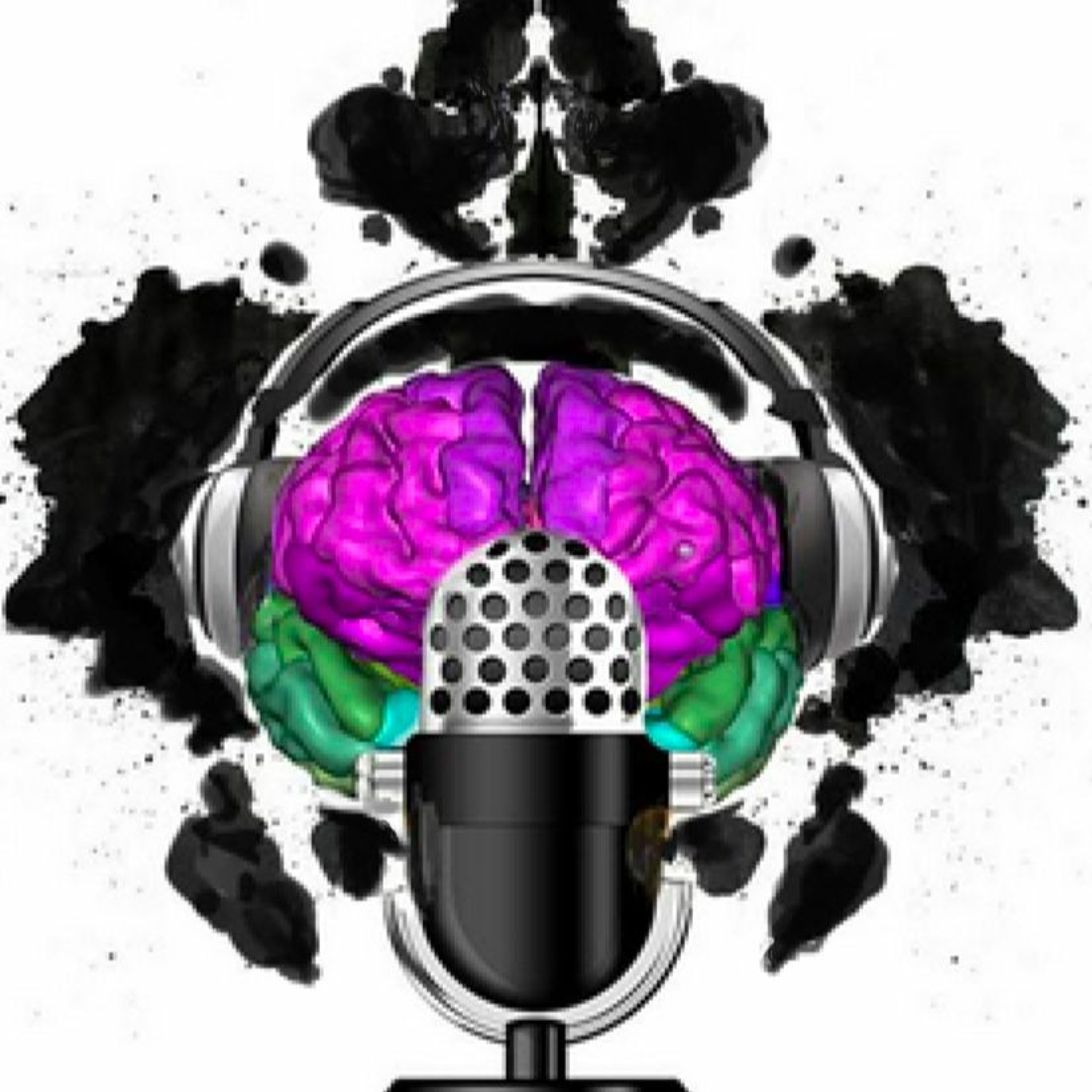Ep. 33 The Real Reality Behind Sulemon Anderson's Appearance on The David Pakman Show Part 2/2
