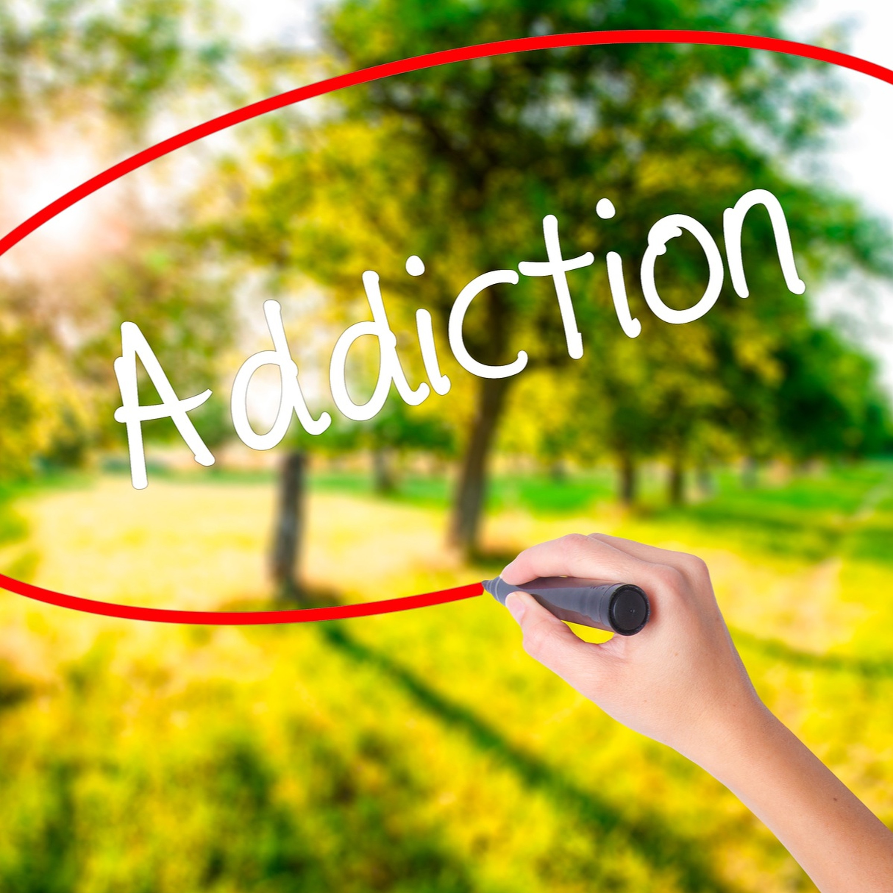 Understanding Addictions Part 1 - Radio Show Archive