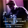 Rag N Bone Man Human Eldar Stuff Tim Cosmos Remix Mp3