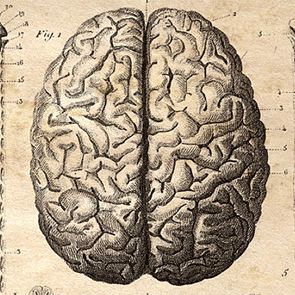 La Tete Dans Le Cerveau #18 - Cerveau Masculin et Cerveau Féminin