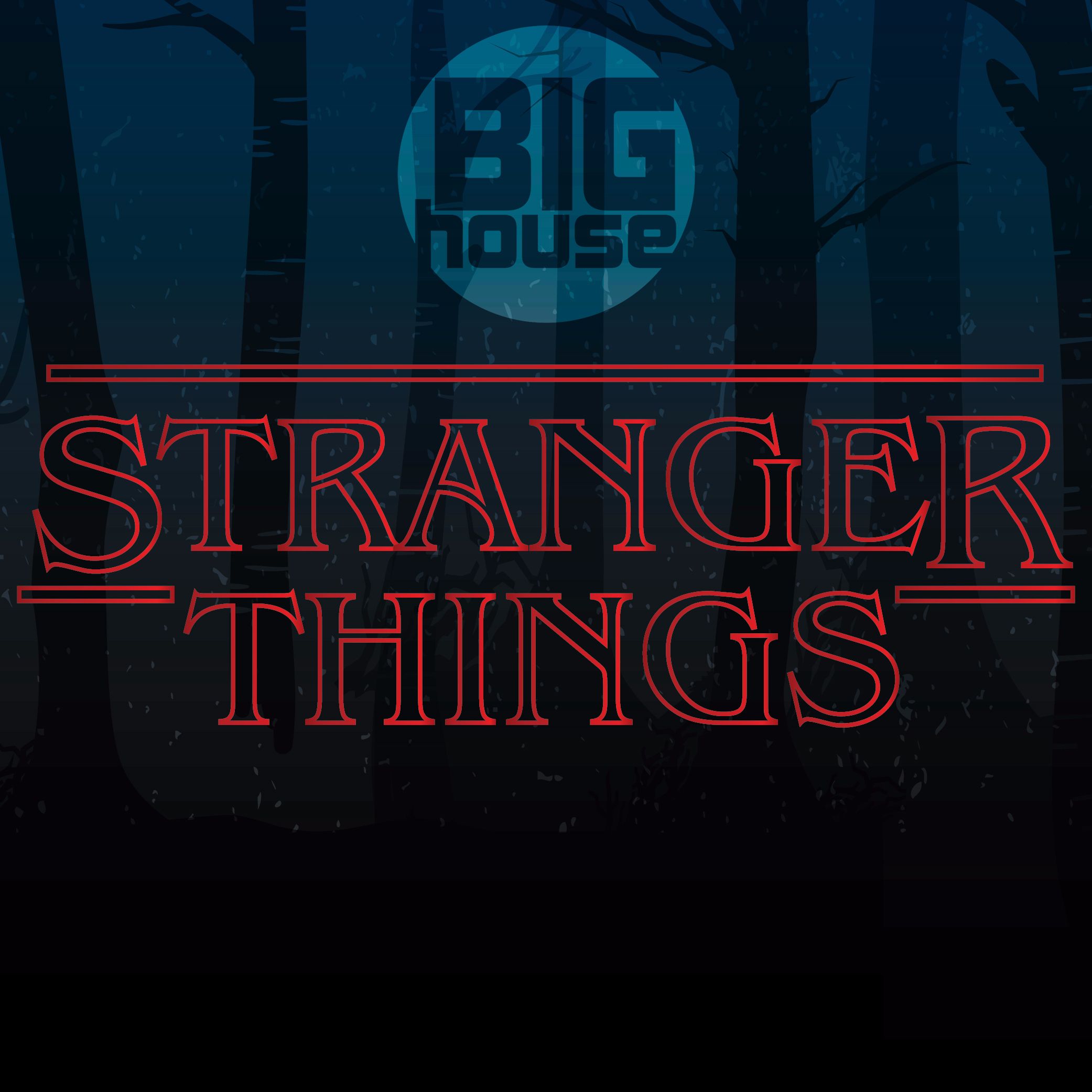 The BIGhouse Podcast