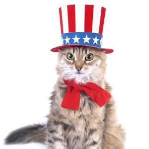 CGP #3.5 - Common Afterthoughts Of An Awesome Freedom Cat CGP #3.5 - Common Afterthoughts Of An Awesome Freedom Cat