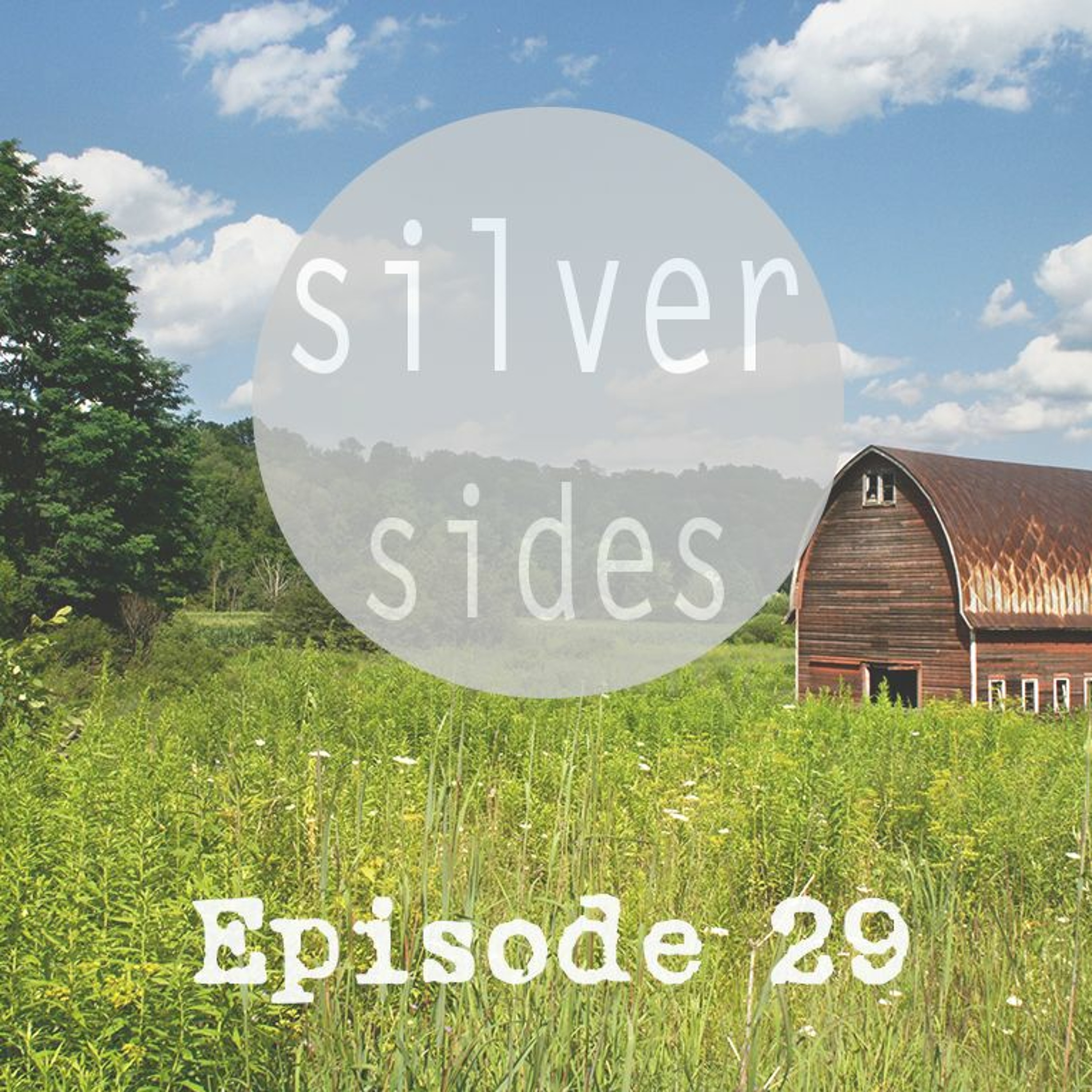 Episode 29 - Red Carving
