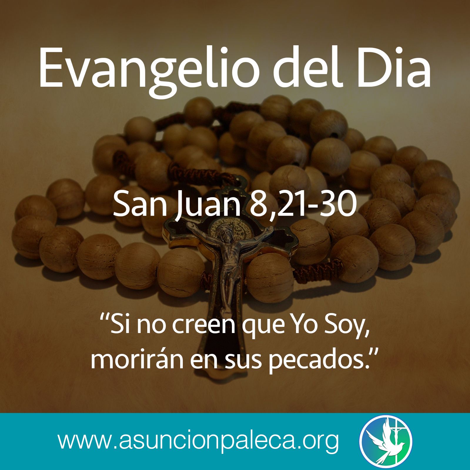 Evangelio del Día - Mons. Jose Luis Escobar Alas
