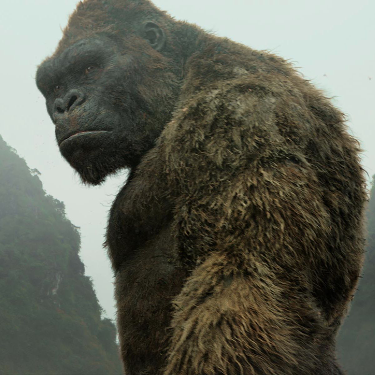 EP#40 JEFF WHITE – HOW THEY CREATED KONG SKULL ISLAND. EP#40 JEFF WHITE – HOW THEY CREATED KONG SKULL ISLAND.