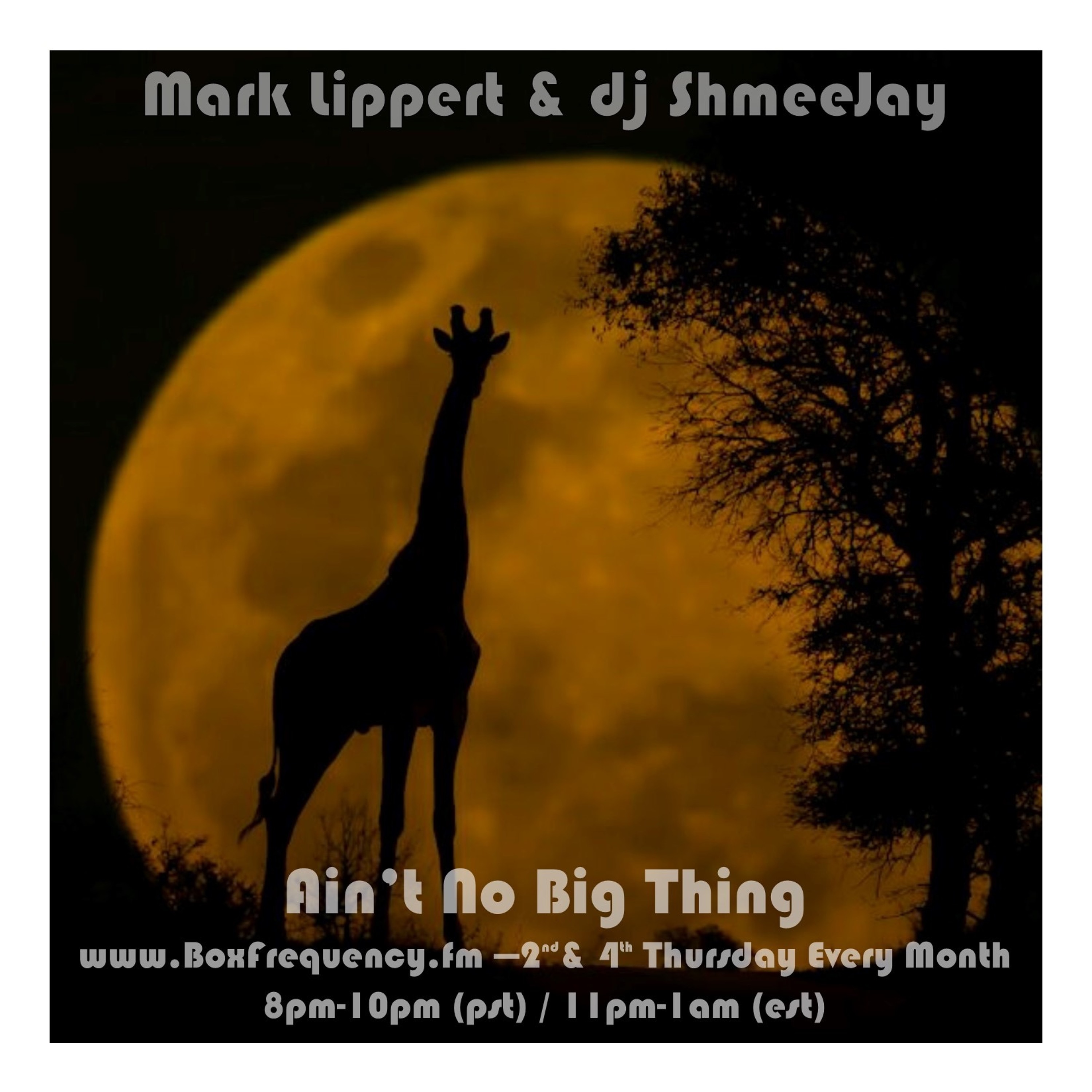 Ain\'t No Big Thing Radio Show