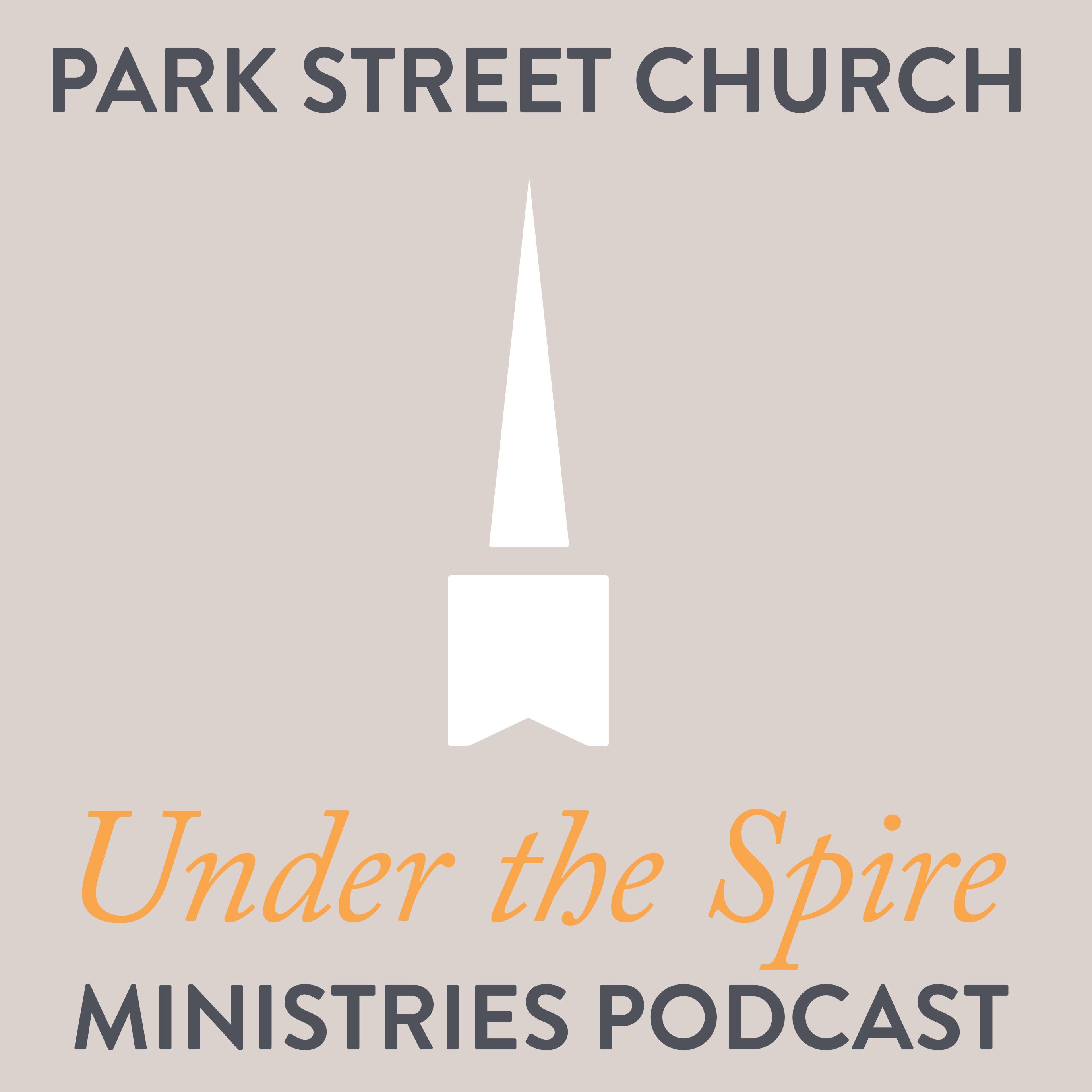 Episode 1: Pat Chen; serving Boston refugees