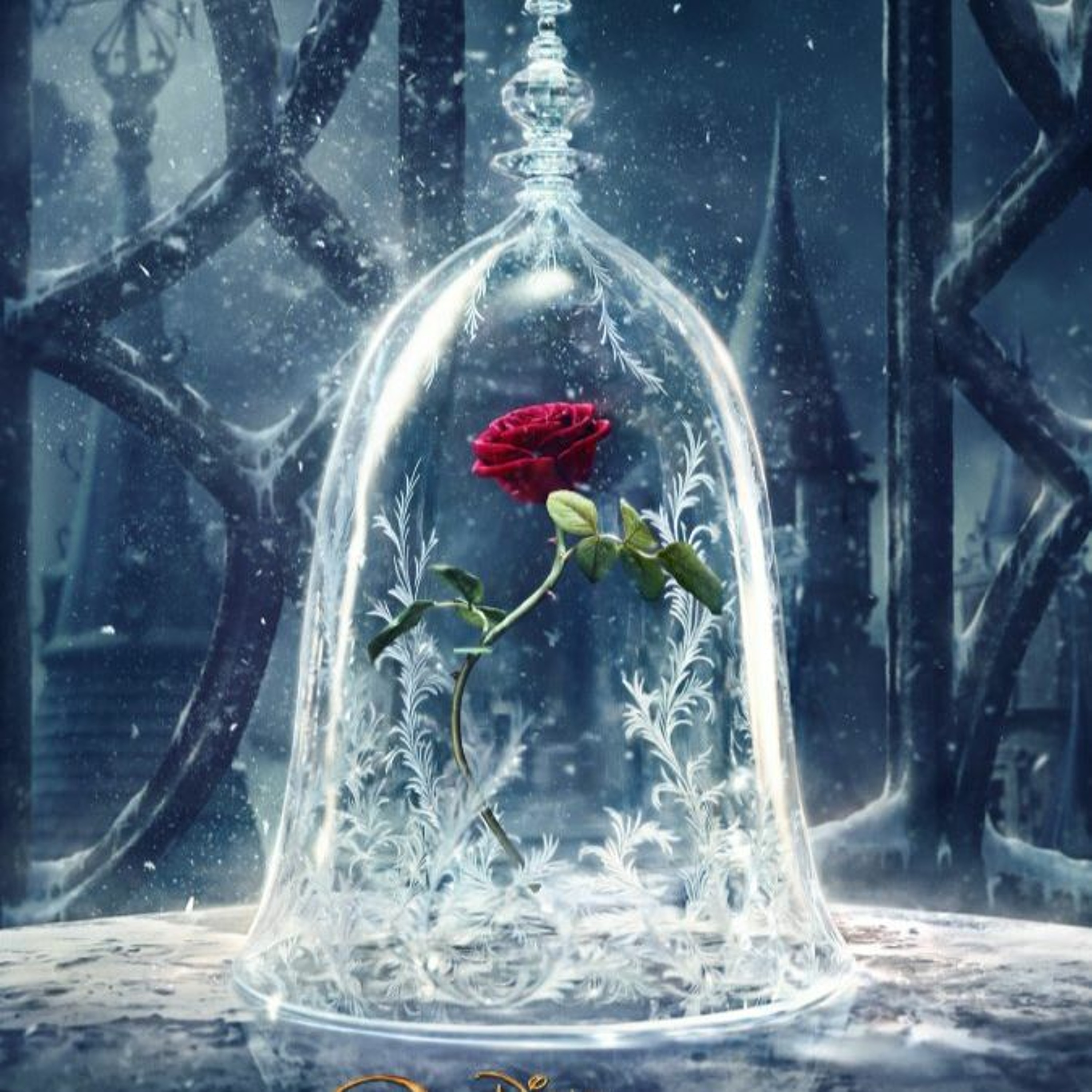 This Week We Watched