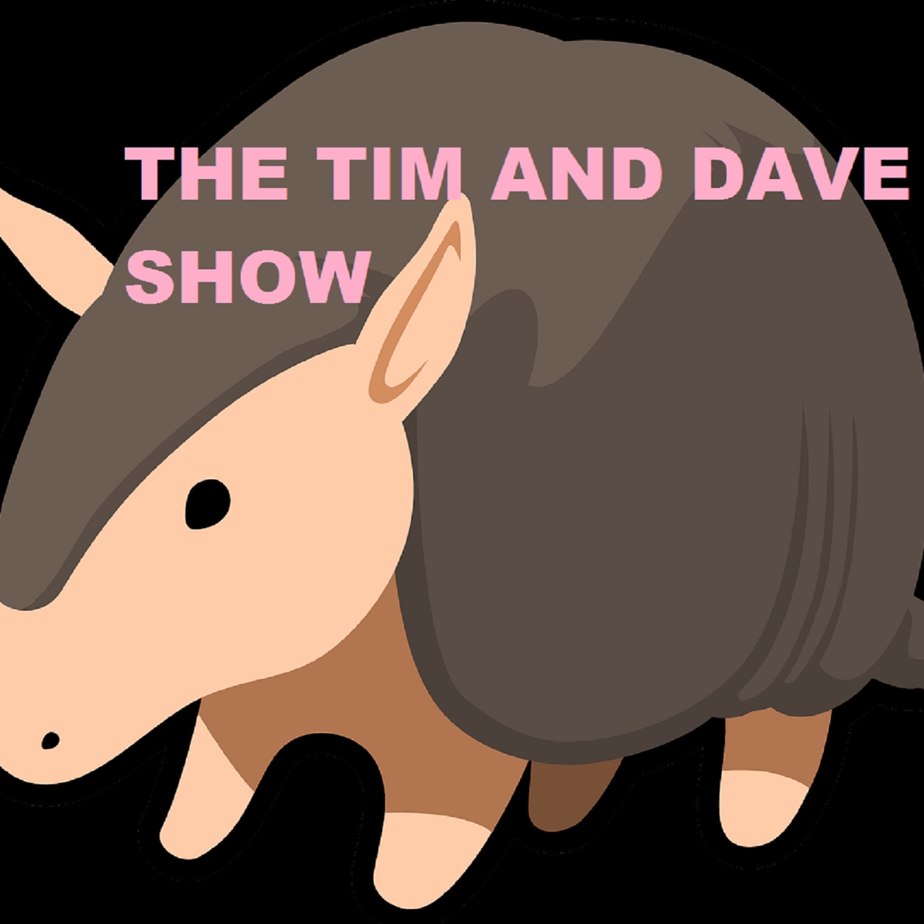 The Tim and Dave Show