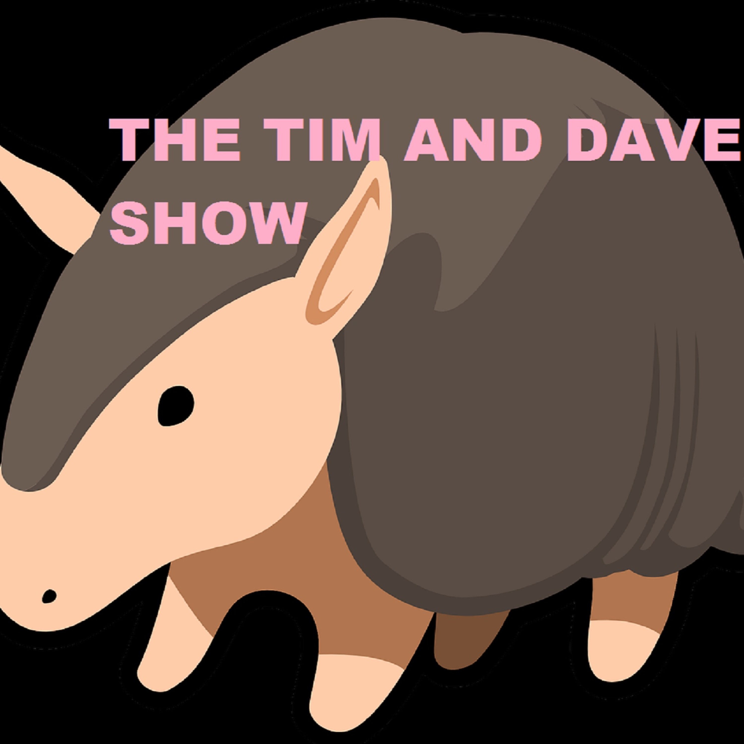 The Tim and Dave Show