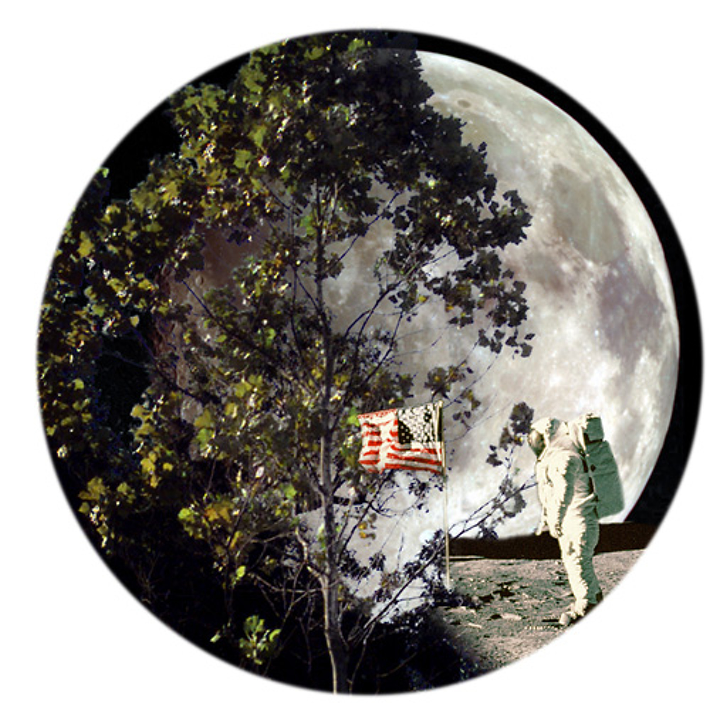 Salem Moon Tree
