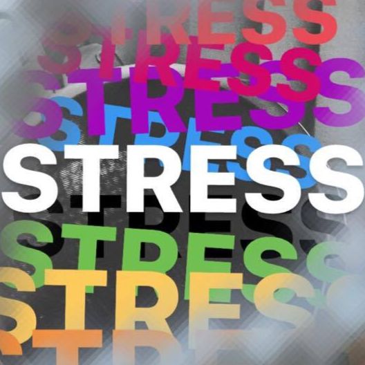 Stressavsnittet