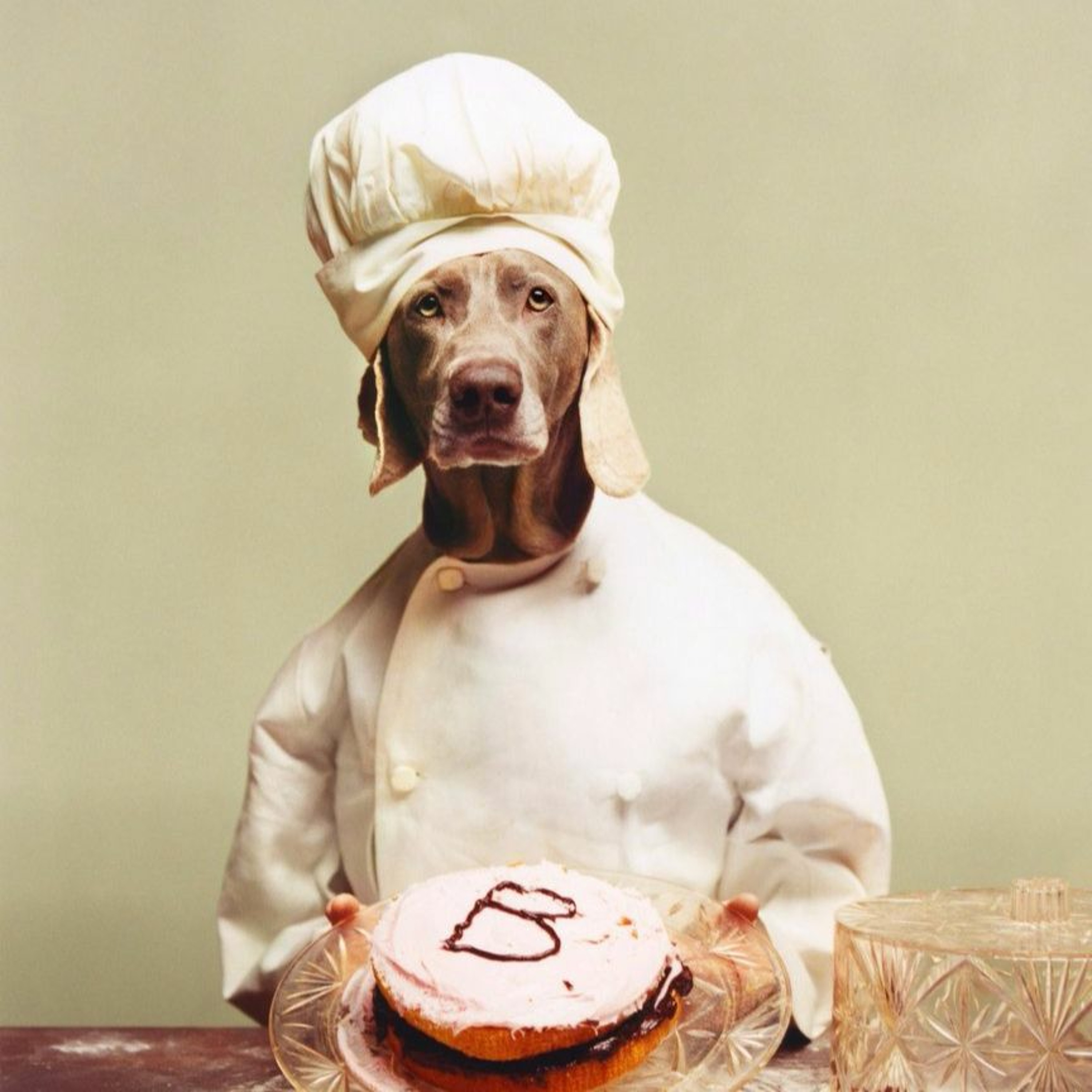 No. 33: When Artists Play with Their Food