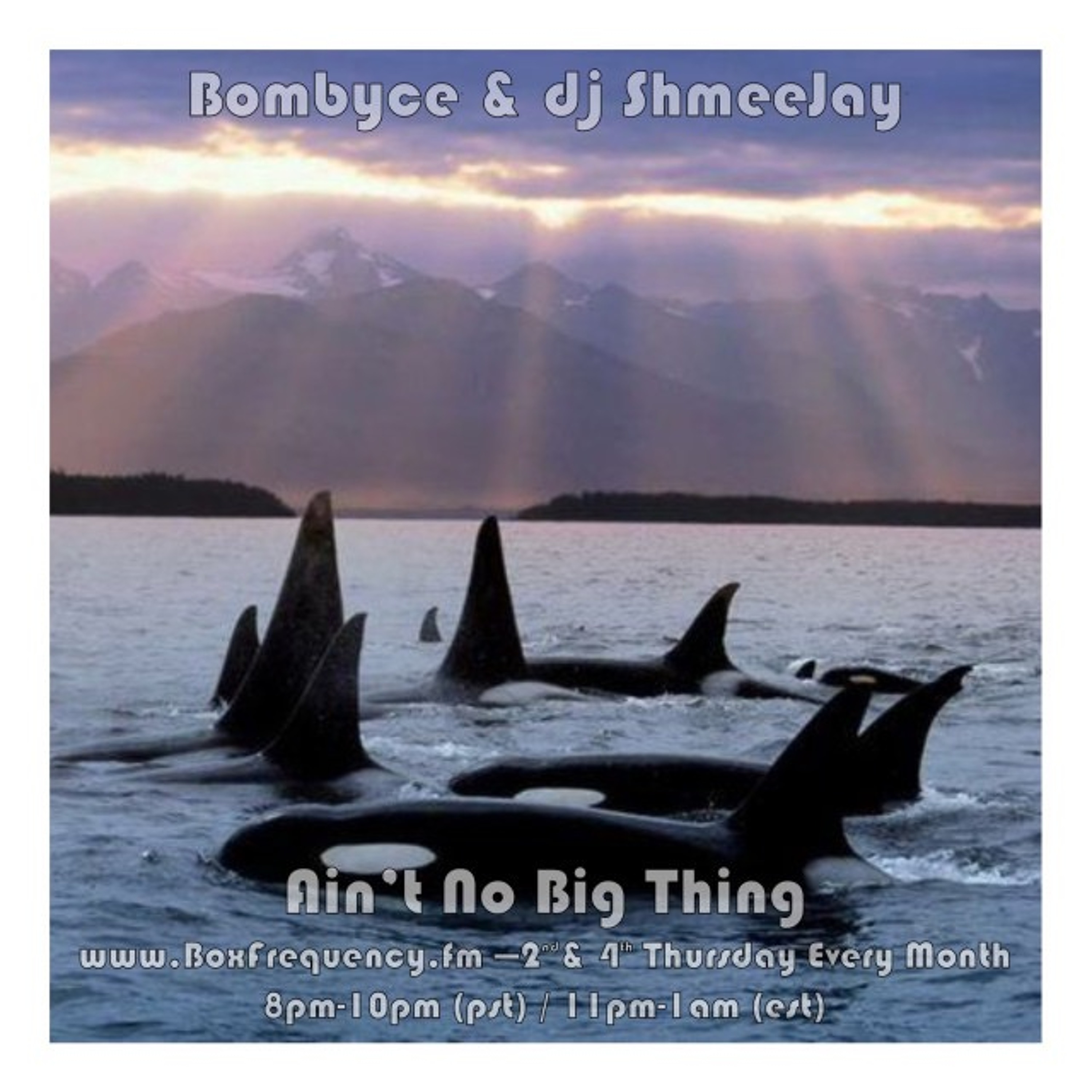 Ain\'t No Big Thing Radio Show